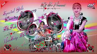 Non Stop TikTok Viral New Tharu Dj Song Mix 2079 Fully Hard Bass Electro Mix Dj BR Daijee [upl. by Asserrac]