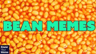 Why Beans Make the Best Memes [upl. by Eesyak]