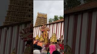 Nallur temple Sooran por 2024 srilanka soorasamharam [upl. by Paviour947]