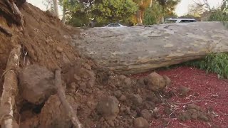 Balboa Park reopens after temporary closure due to dozens of trees that snapped due to gusty winds [upl. by Rivi]