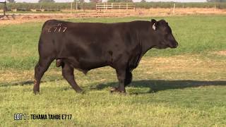 Lot 1 Tehama Tahoe E717 [upl. by Llirred]