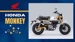 2023 Honda Monkey 125 Price New Colors Key Features Specs [upl. by Einahpetse]