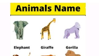 Animals name in English and hindi Animals name [upl. by Smitty]