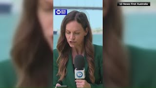 Australian reporter repeatedly divebombed by bird [upl. by Ardet]