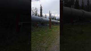 TransAlaskaPipeline Glennallen AK alaska pipeline [upl. by Harad826]