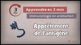 78 ◽ Apprêtement des antigènes protéiques CMH [upl. by Damales]