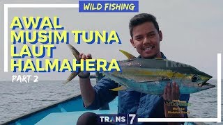 JEJAK PETUALANG  AWAL MUSIM TUNA LAUT HALMAHERA 110418 23 [upl. by Hakceber230]