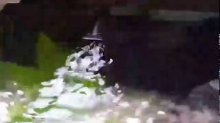 Slowing Filter Flow on Aqua One Focus 25 fish tank [upl. by Adnawed]