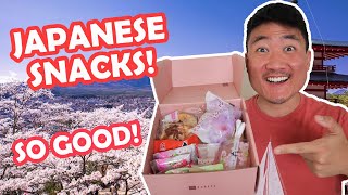 The Best JAPANESE SNACKS on the Market Bokksu Subscription Full Review [upl. by Koziara]