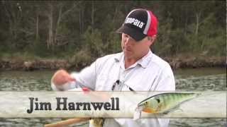 How to use Rapala Super Shad Rap [upl. by Ollehcram]