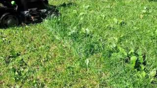 Earthwise Electric Lawn Mower  Trimmer Review [upl. by Ardiek]