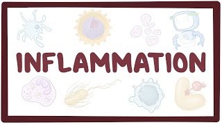 Inflammation  causes symptoms diagnosis treatment pathology [upl. by Ennaisoj]