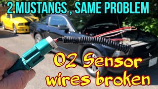 05 09 Mustang O2 Sensor Codes and Wiring Harness Location Two cars with the same Problem [upl. by Nylek882]