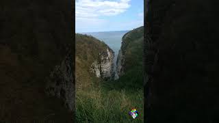 Bempton Cliffs 16082024 cliff cliffs eastyorkshire [upl. by Artenak]