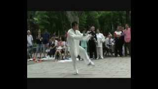 Zhen Wei Academy Mizong Quan in fuxing park [upl. by Calendra]