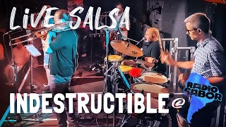 Salsa INDESTRUCTIBLE  Marcando live [upl. by Mcclees]