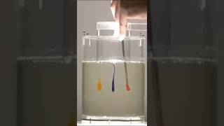 Laminar effect sciencefacts science knowledge facts [upl. by Ellednahc]