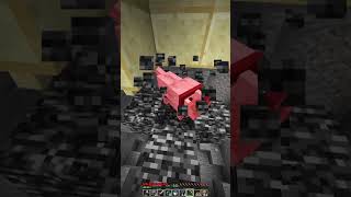 Minecraft dog moment [upl. by Ennair774]