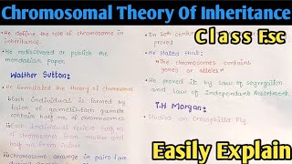 Chromosomal Theory Of Inheritance  Class 12 Biology [upl. by Kit]