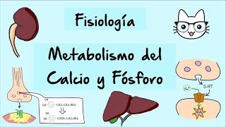 Metabolismo del calcio y fosforo parte 1 [upl. by Atwater]