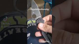 Whatchu rocking on this SpydiehawkSunday got my Spyderco pm3 Seahawks pnw edc madeinusa [upl. by Alitta49]