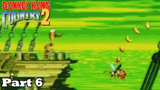 Slim Plays Donkey Kong Country 2 GBA  Part 6 [upl. by Ratcliff]