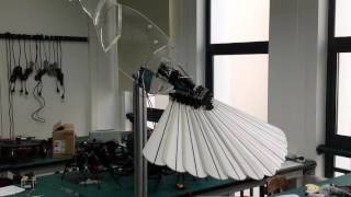 Robot Eagle Bird Tail [upl. by Draude]