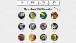 How To Build A Hexagonal Bird Aviary [upl. by Gussy371]