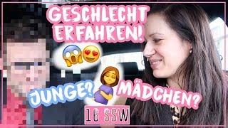 Wir wissen das Geschlecht😱😍 • Ist das Baby gesund • Maria Castielle [upl. by Katlin]