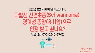 다발성 신경초종Schwannoma 경계성 종양 인정을 원한다면 보험금 무료 상담 TEL 01052452702 [upl. by Wattenberg]