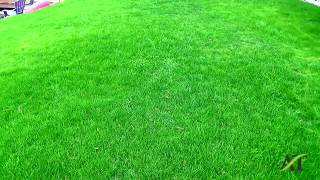 Seattle Lawn Tuneup With Soil Wetting Agent And Amendments [upl. by Jarietta]