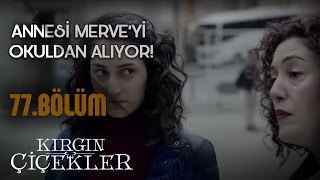 Kırgın Çiçekler 77Bölüm  YGS’de başarısız olan Merve [upl. by Elyr]