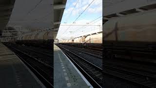 Dolime Freight train spot at Zwolle train station RARE [upl. by Freeman]