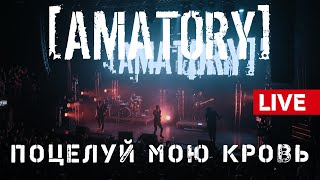 AMATORY  Поцелуй мою кровь LIVE  12092020 Москва Известия Hall [upl. by Aivek]