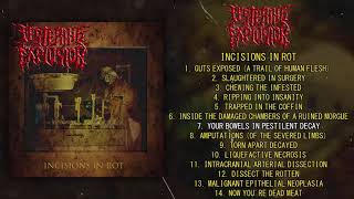 Festering Explosion  Incisions In Rot FULL ALBUM 2021  Goregrind  Death Metal [upl. by Jon]