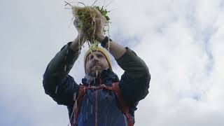 Sphagnum moss  an inspiring case study on Kinder Scout [upl. by Nwahsir368]