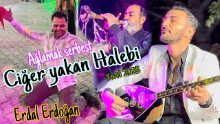 CİĞER YAKAN HALEBİ  Yeni müzik Yeni Ritim 🎵 Erdal Erdoğan  Müzüka Afrin Suriye حلبي عفرين سوريا [upl. by Pearl]