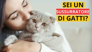 12 Segni che sei un vero sussurratore di gatti [upl. by Claus356]