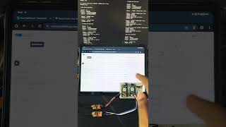 Effortlessly Connect Seeed Studio LoRa Wio E5 to Things Network with Python WioE5 lorawan seeed [upl. by Oitaroh]