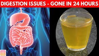 10 Ways to Improve Digestive System  Get INSTANT Boost Naturally [upl. by Acirea477]