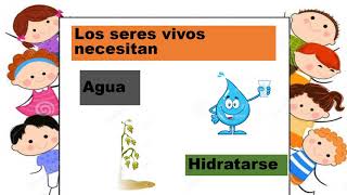 Necesidades de los seres vivos [upl. by Yor]