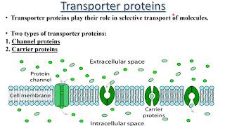 Transporter Proteins Basics  carrier amp channel mediated transport [upl. by Janerich350]