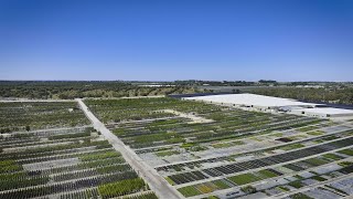 The Garden Gurus  Commercial Seedling Production at Benara Nurseries [upl. by Paige]