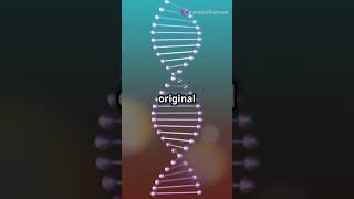 The Crucial Role of DNA Polymerase in DNA Replication [upl. by Hobard]