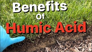 Benefits of Humic Acid  Lawn Update [upl. by Engedus144]