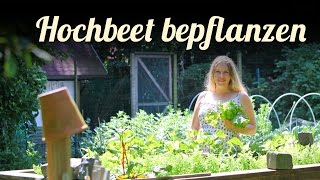 Hochbeete bepflanzen 🎍 Agretti im Garten 🎍 Salat anbauen 🎍 Permakultur [upl. by Lusty]