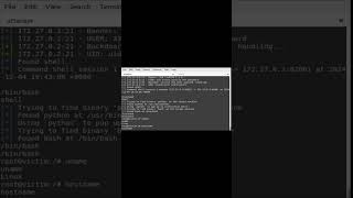 Pen testing kali ftp remote command execute [upl. by Suruat77]