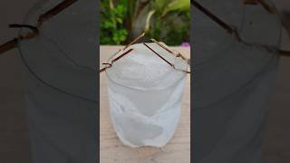 Icy Glass 🥶 With Cola Masala 😱😱 shorts shortsfeed youtubeshorts [upl. by Annawek849]