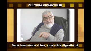 ANDREI PLEȘU  PROBLEME DE GENDER ÎN MĂNĂSTIRILE GRECEȘTI [upl. by Inuat]