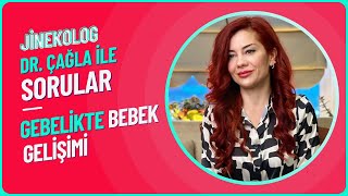 Gebelik Sürecinde Bebek Gelişimi [upl. by Htenywg]